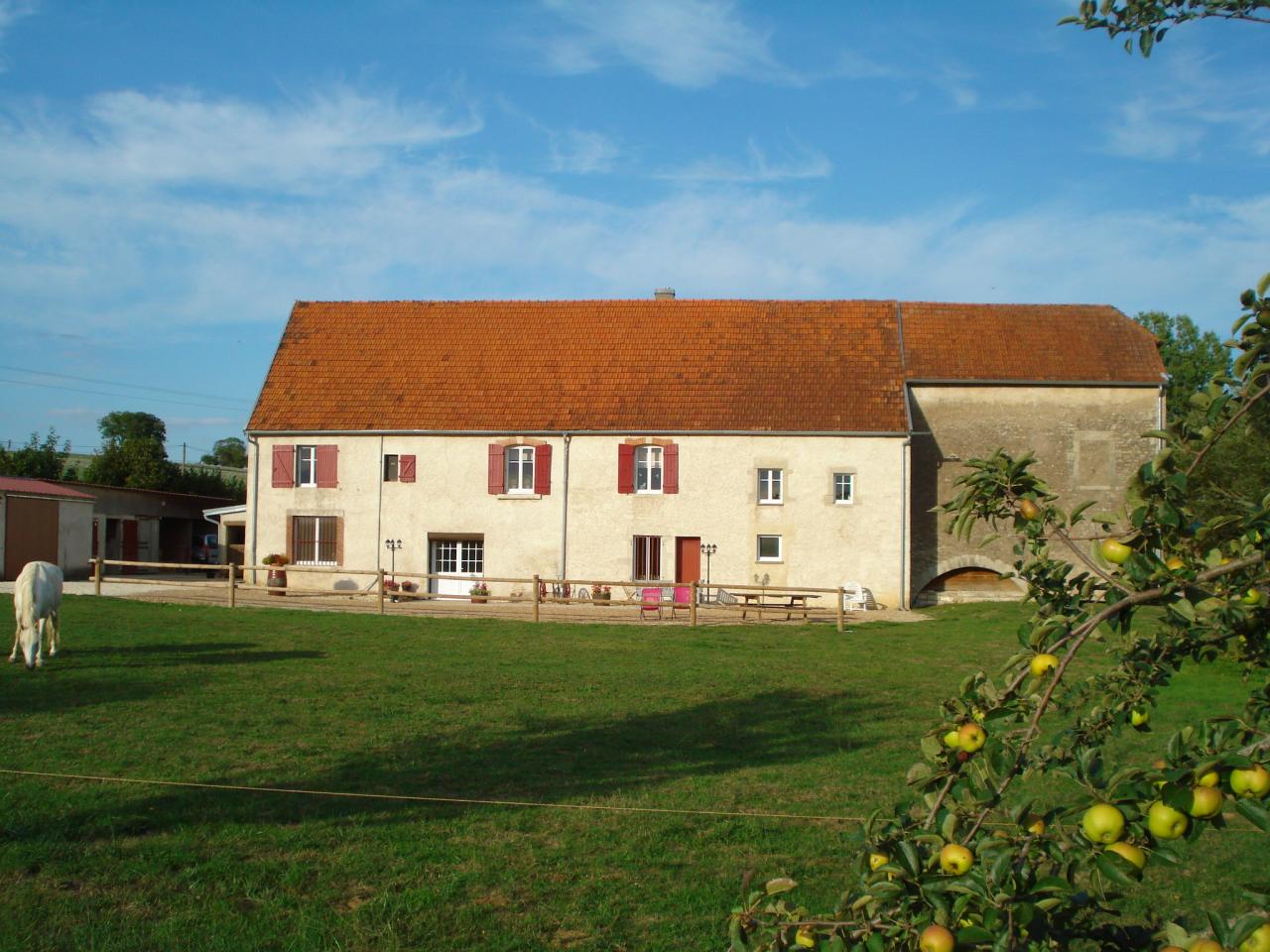 maison derrière